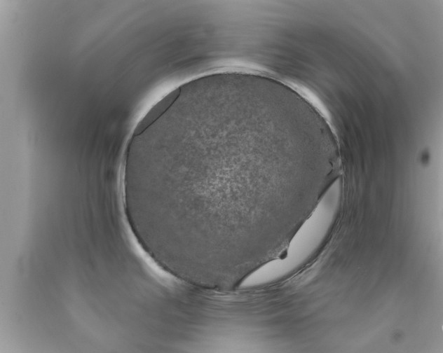 X0000090441391200707272145