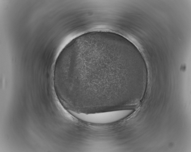 X0000090441392200707272145