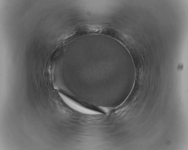 X0000090441394200707272144