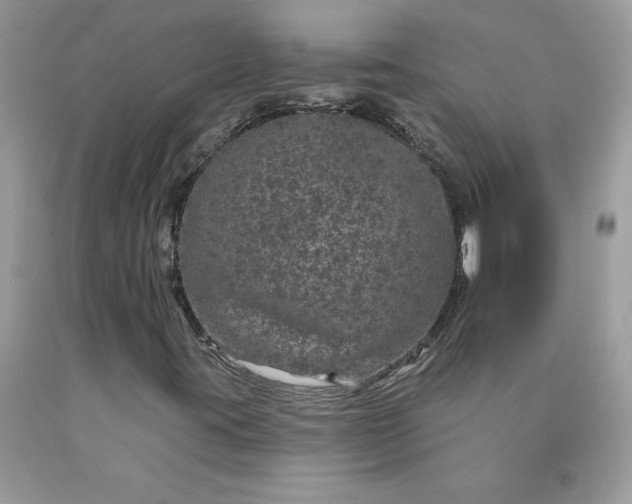 X0000090441395200707272144