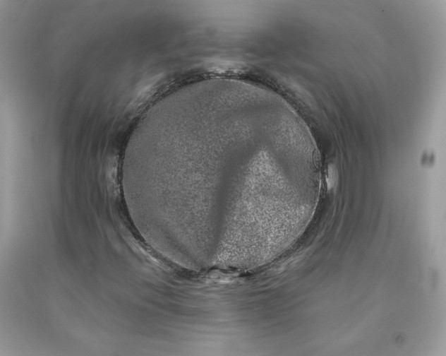 X0000090441396200707272144