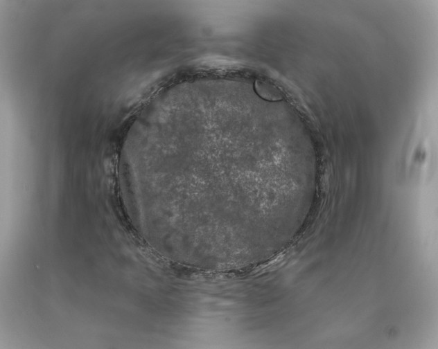 X0000090441397200707272144