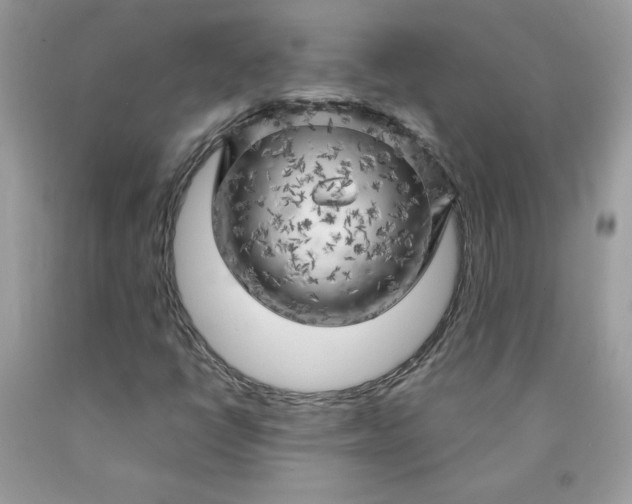 X0000090441398200707272144