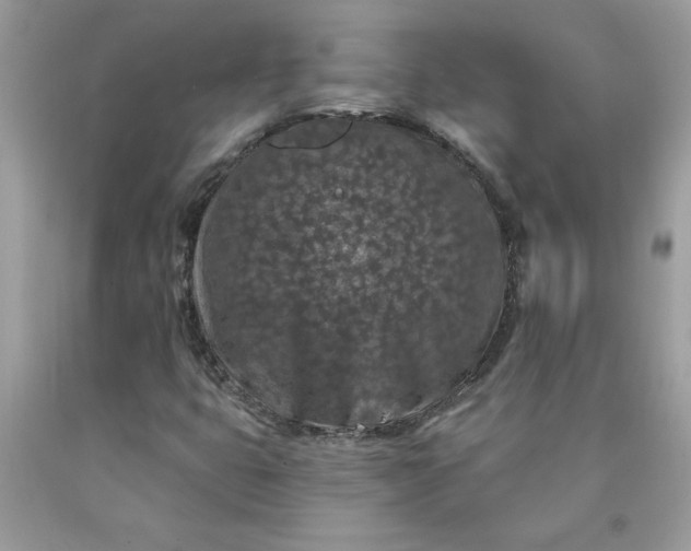 X0000090441399200707272144