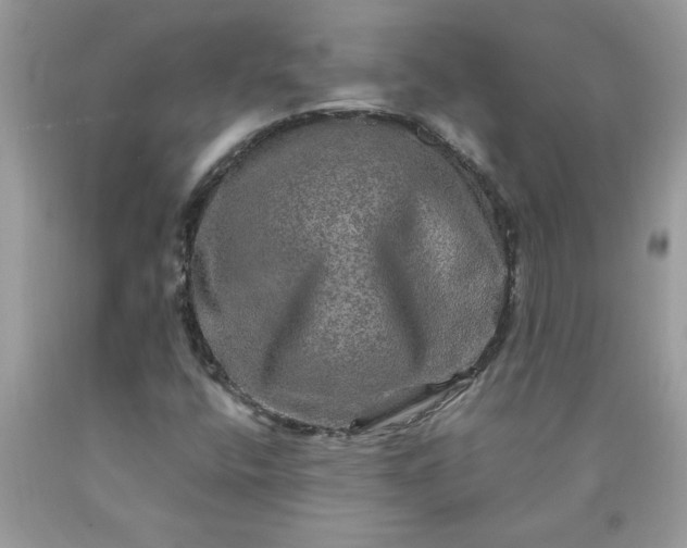 X0000090441400200707272144