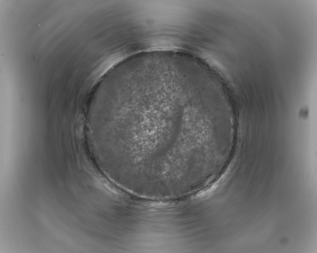 X0000090441401200707272144