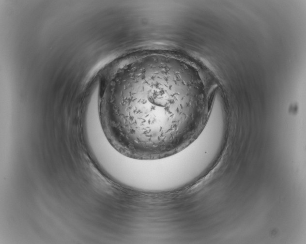 X0000090441402200707272144