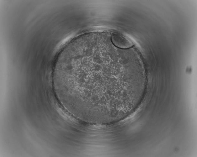 X0000090441403200707272144