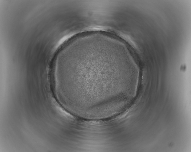 X0000090441404200707272144