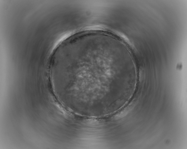 X0000090441405200707272144