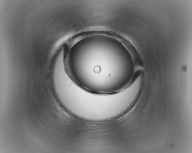 X0000090441406200707272144