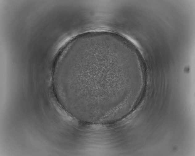 X0000090441407200707272144