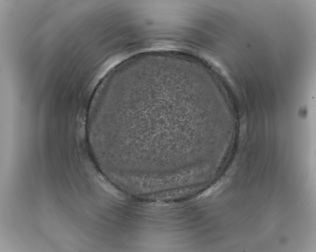 X0000090441409200707272144