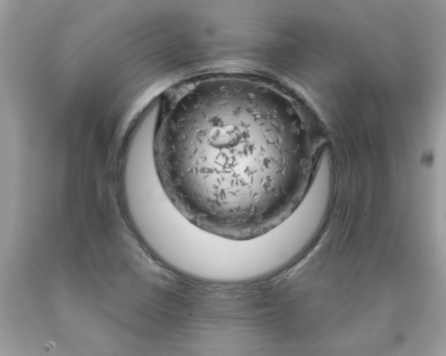 X0000090441410200707272144