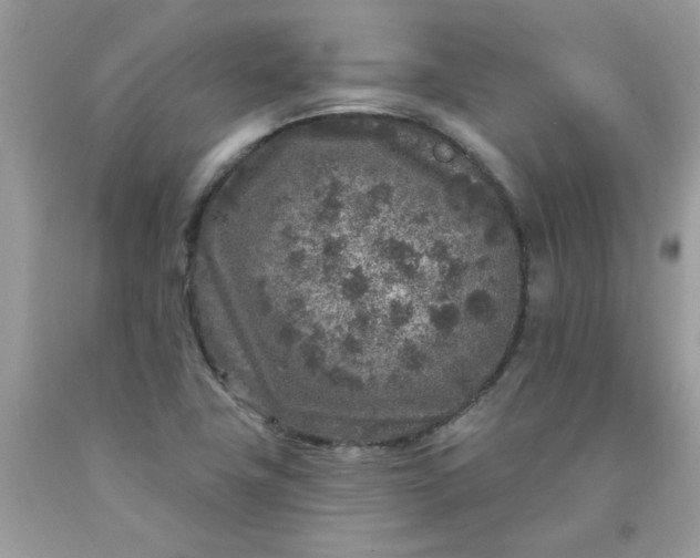 X0000090441411200707272144