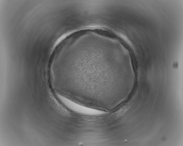 X0000090441412200707272144