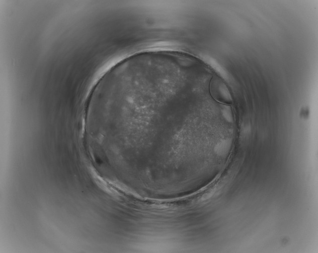 X0000090441413200707272144