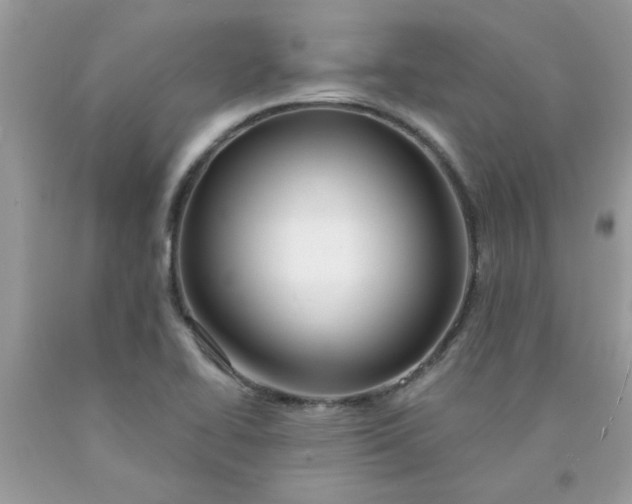 X0000090441414200707272144