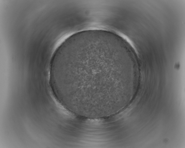 X0000090441415200707272144