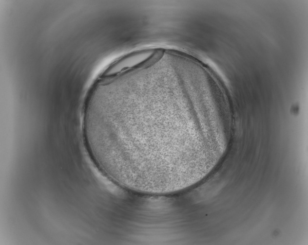 X0000090441416200707272144