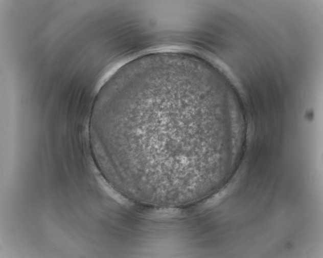 X0000090441417200707272144