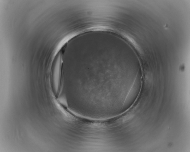 X0000090441418200707272144