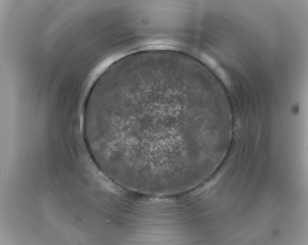 X0000090441419200707272144