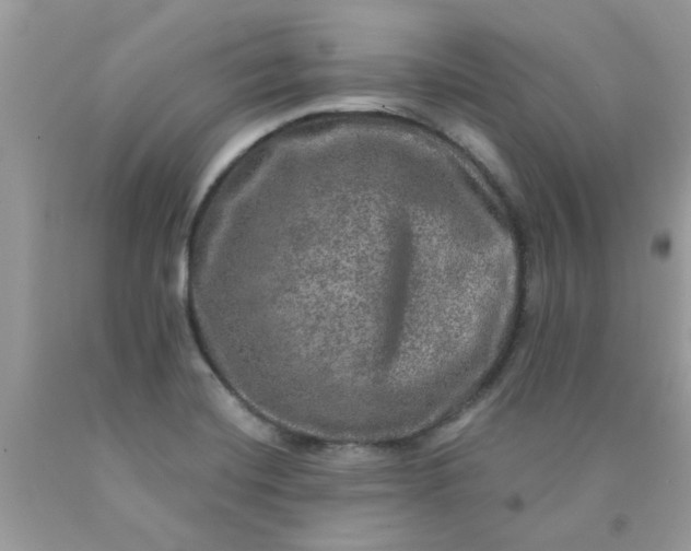 X0000090441420200707272144