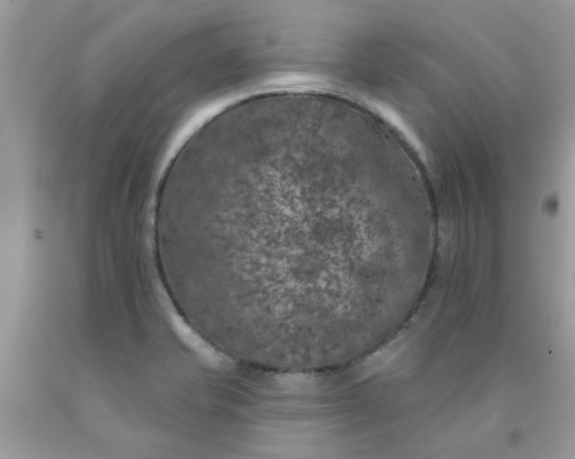 X0000090441421200707272144