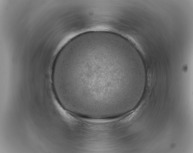 X0000090441422200707272144