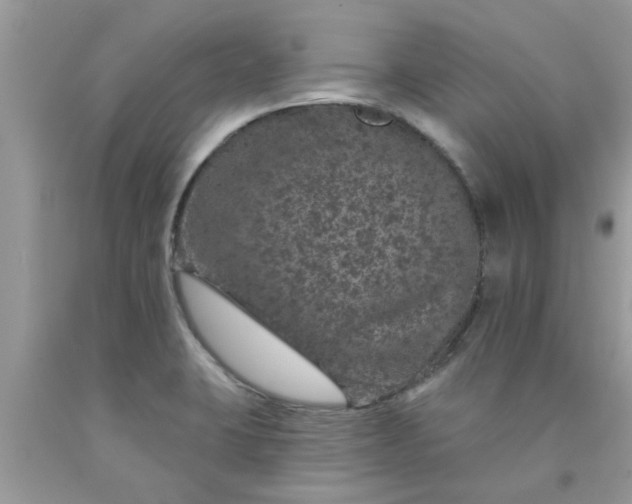 X0000090441423200707272144