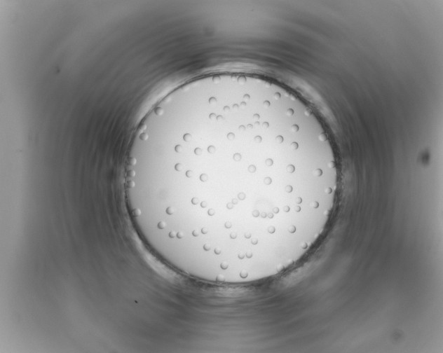 X0000090441425200707272144