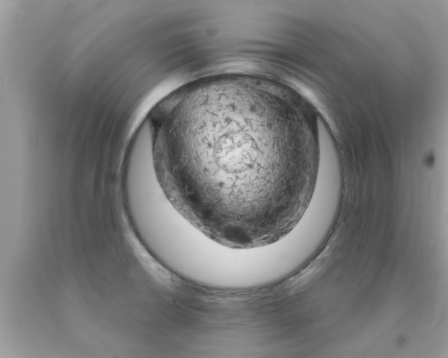 X0000090441426200707272144