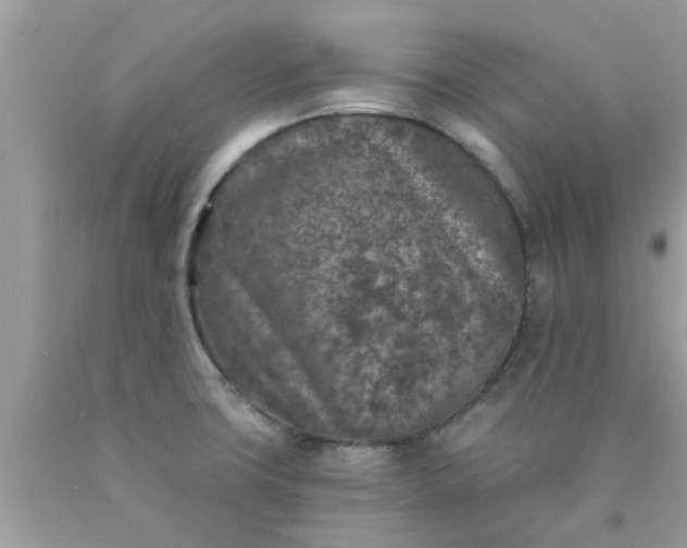 X0000090441427200707272144