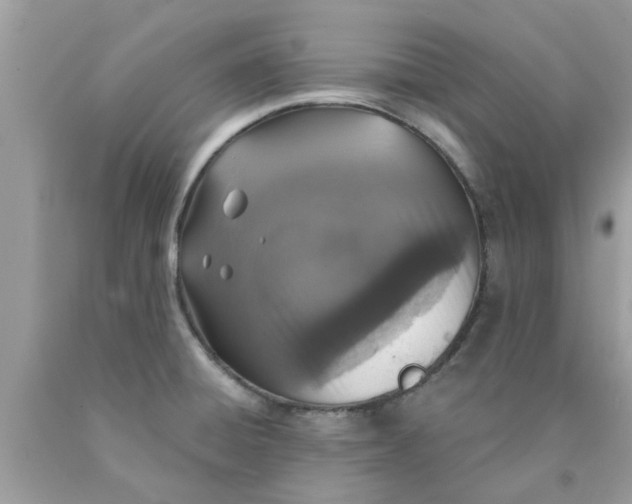 X0000090441428200707272144