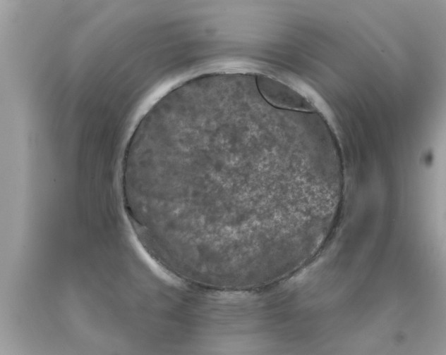 X0000090441429200707272144