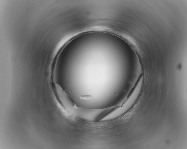 X0000090441430200707272144