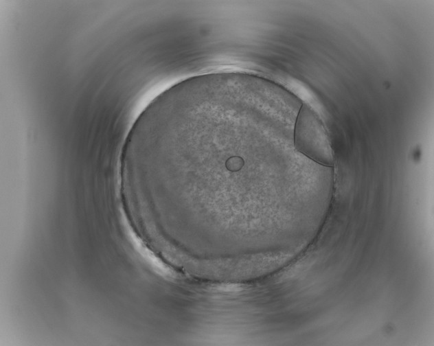 X0000090441431200707272144