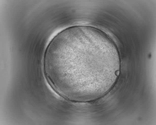 X0000090441432200707272145