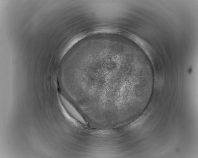 X0000090441433200707272145