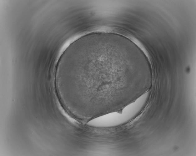 X0000090441437200707272145