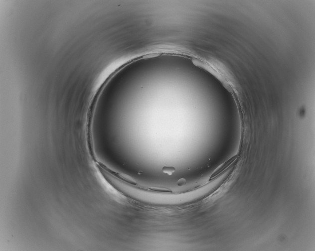 X0000090441438200707272145