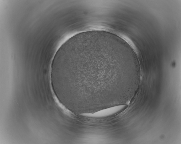 X0000090441439200707272145