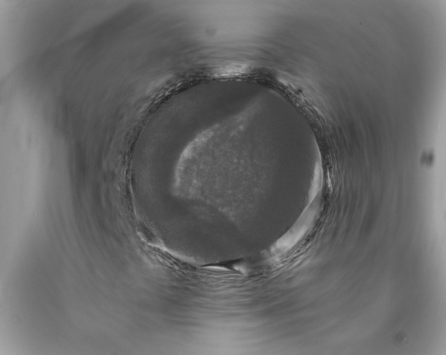 X0000090441441200707272144