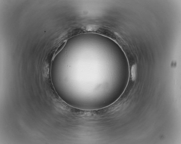 X0000090441443200707272144