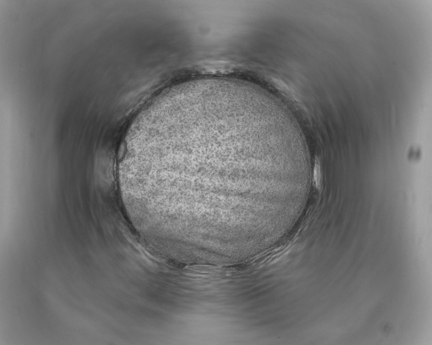 X0000090441444200707272144