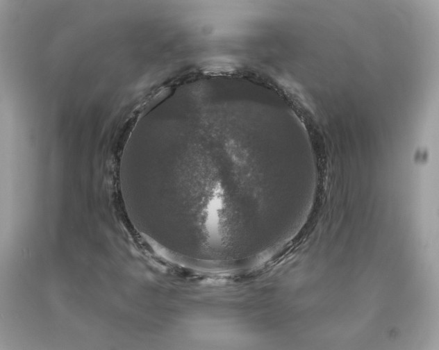 X0000090441445200707272144