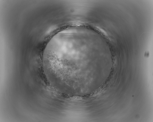 X0000090441446200707272144