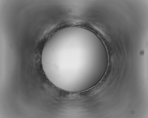 X0000090441447200707272144