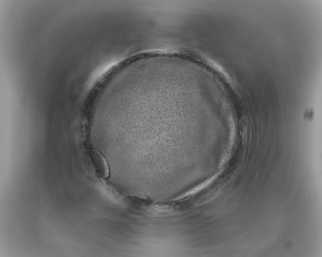 X0000090441448200707272144